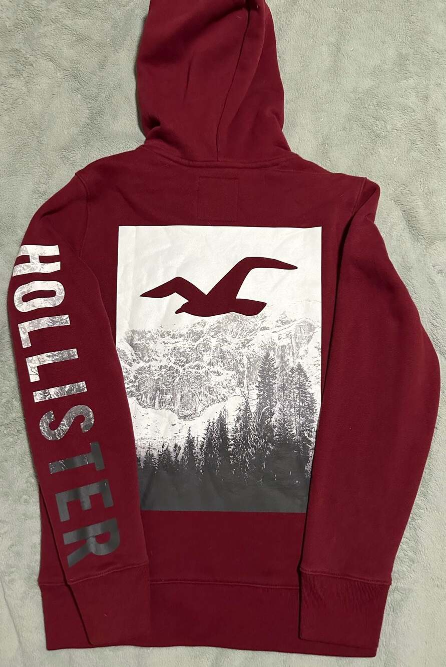 Hollister Burgundy Mountain Graphic Sleeve Logo Pullover Hoodie, Size Small
